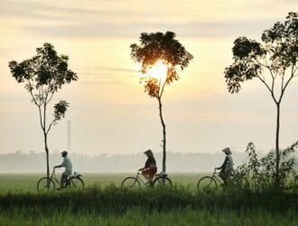 three person riding bikes on green grass field